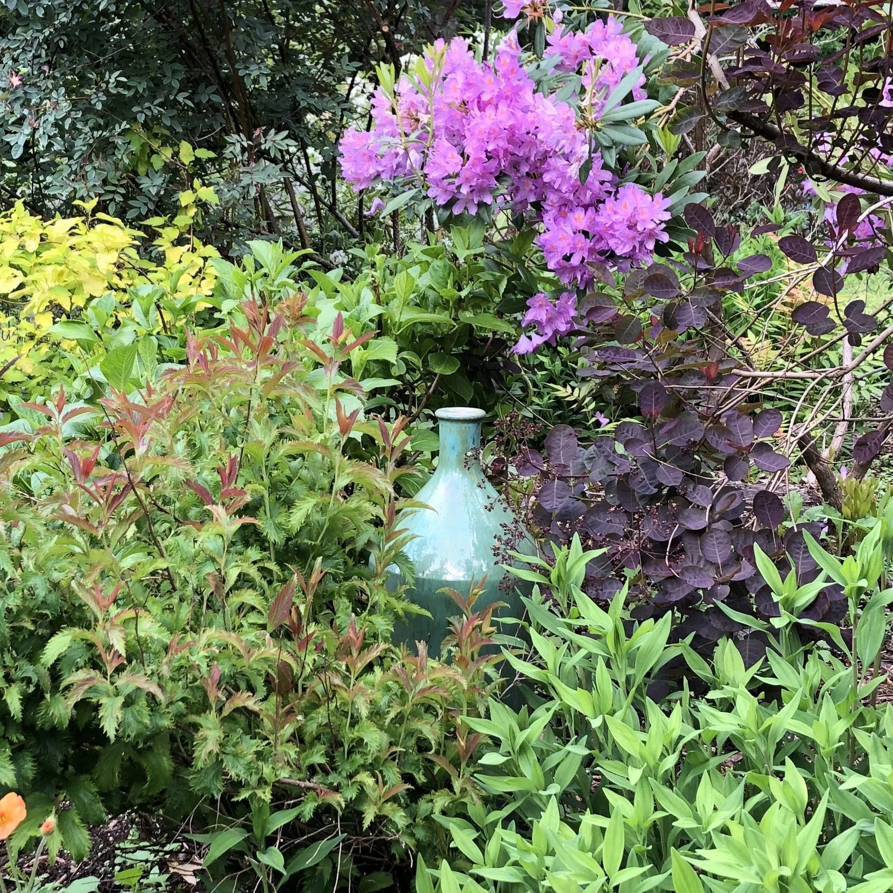 Ideas for an Urban Sanctuary