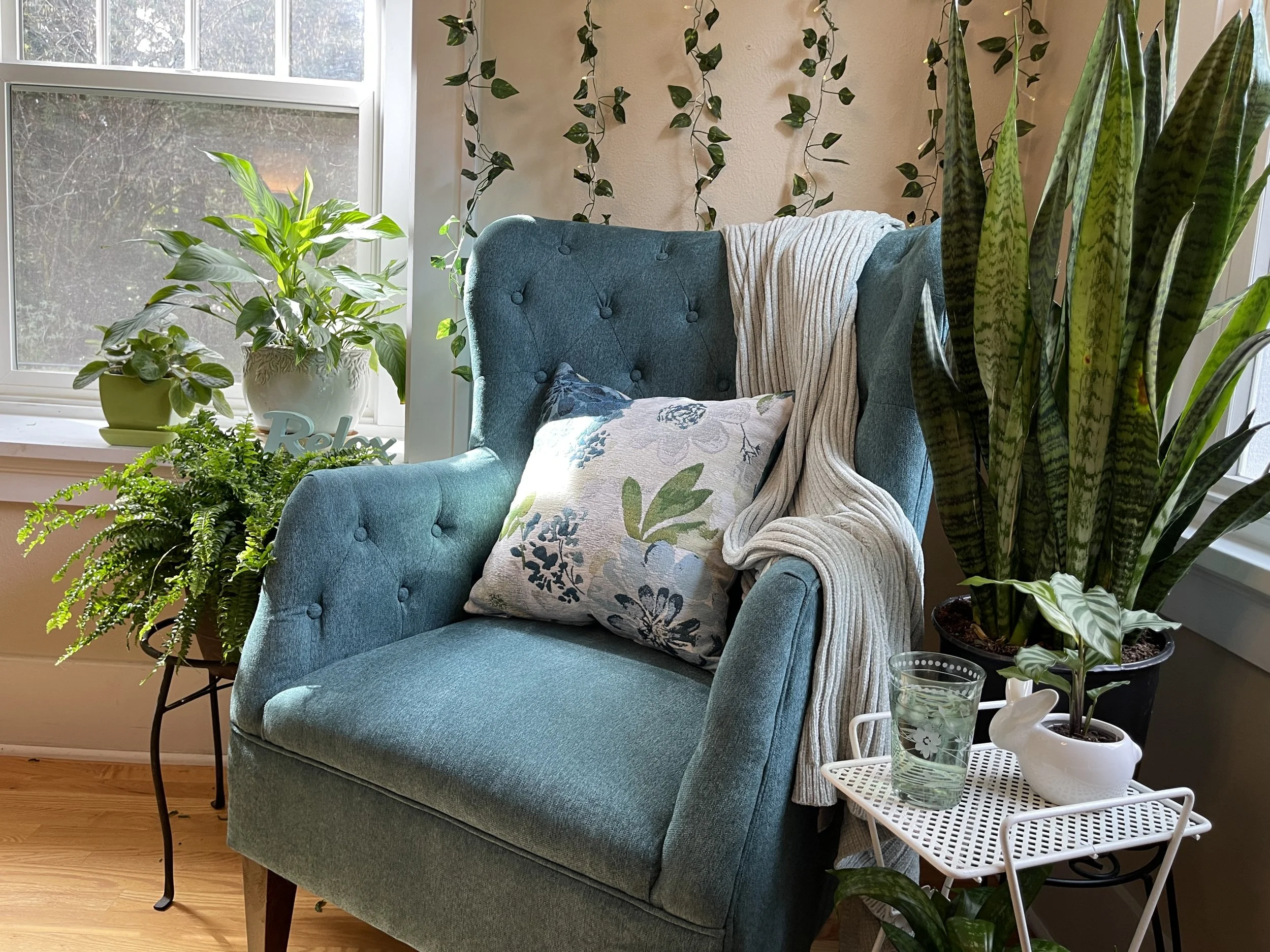 The 5 Easiest Houseplants to Grow