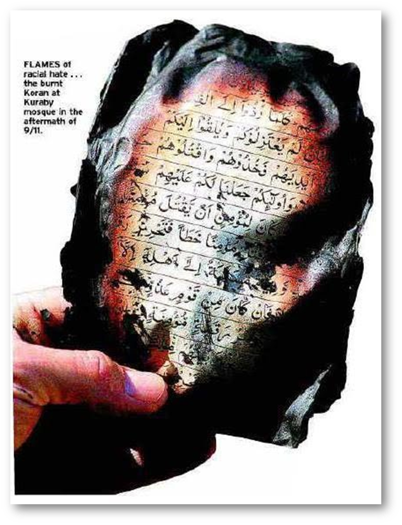 Untitled picture445.png