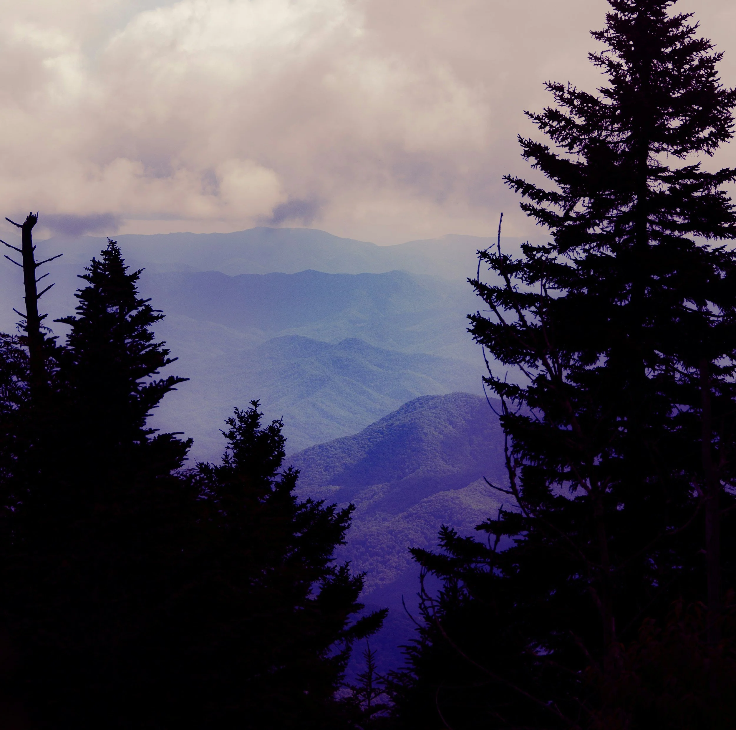 Great Smoky Mountains National Park - Russell Vacherlon Nashville