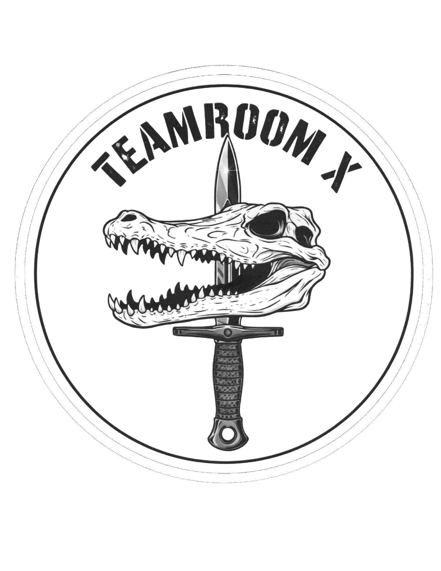 TEAMROOM X: The Special Forces Experience