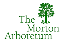 Logo of The Morton Arboretum with a green tree and green text