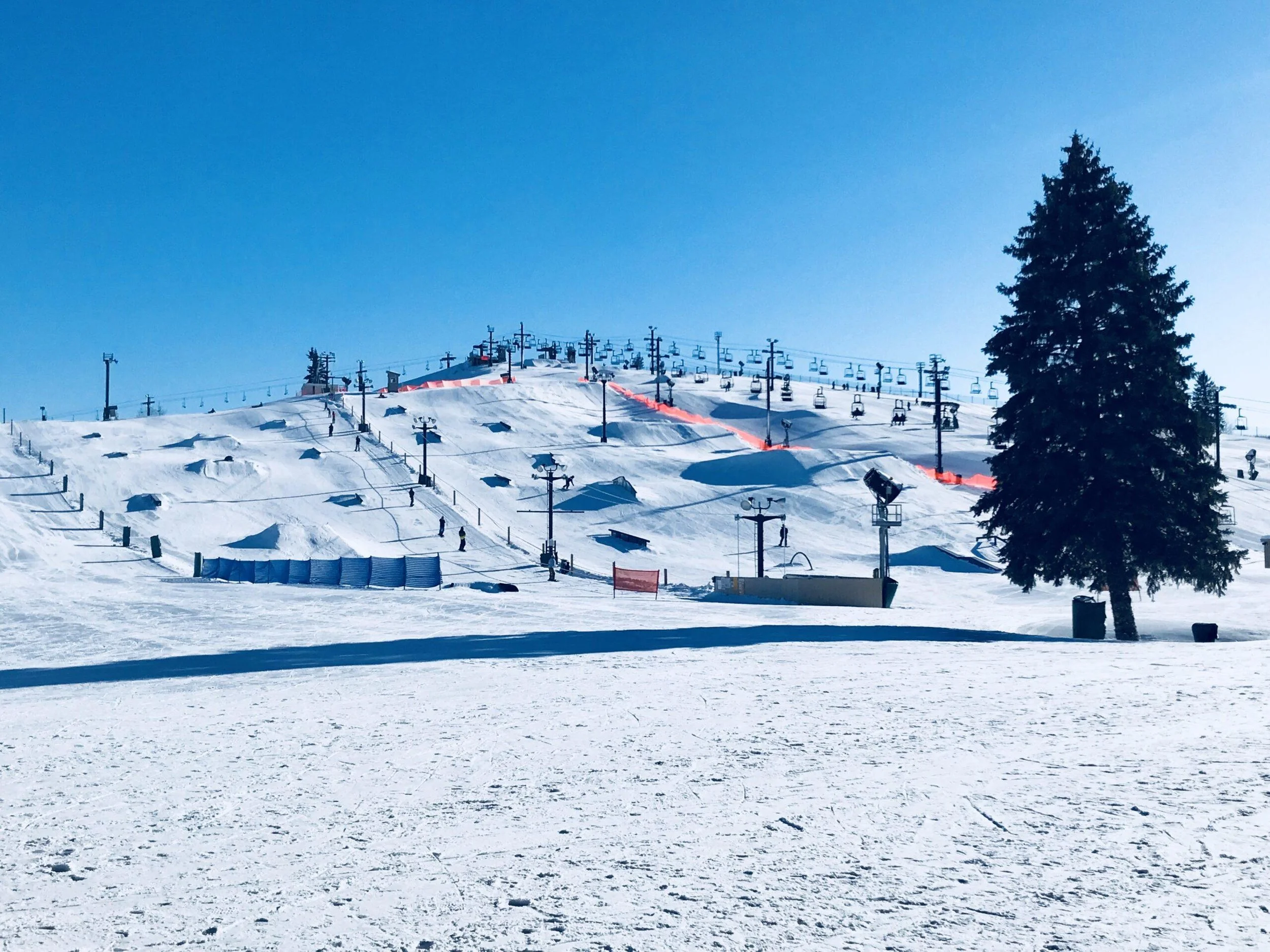 Ski resort with snow-covered slopes, ski lifts, and tall pine tree, under a clear blue sky.