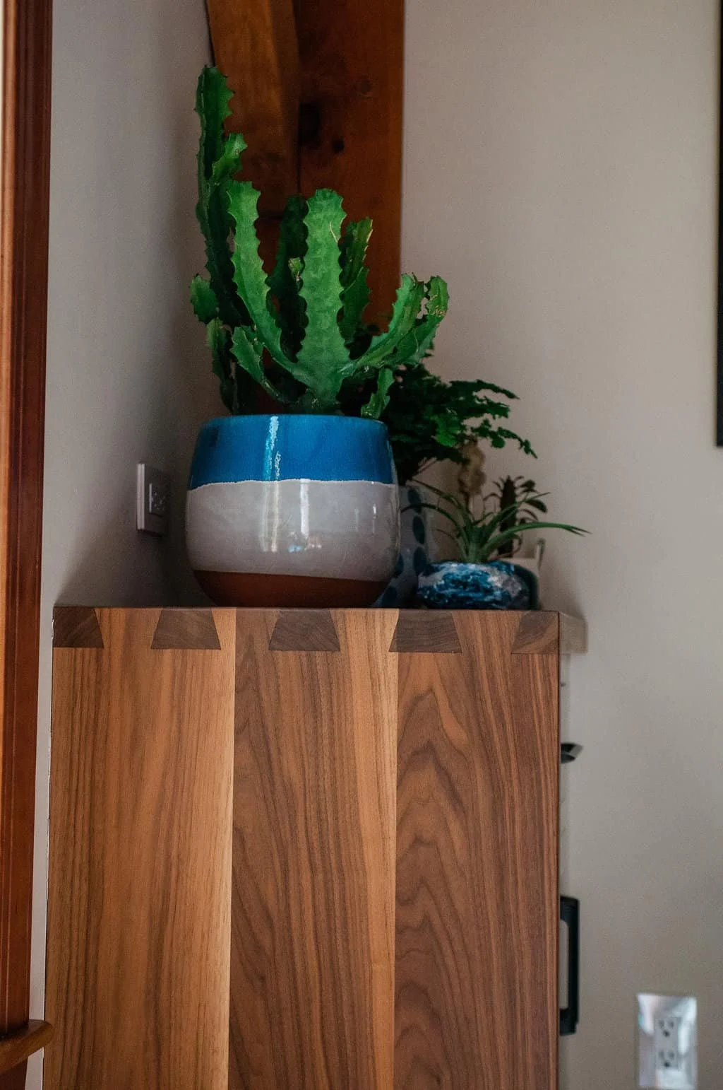 A potted plant with tall green leaves in a multicolored pot on a wooden surface, with other smaller plants next to it, inside a room.