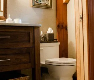 Bathroom with wooden dresser, toilet, tissue box, and framed artwork on beige wall.
