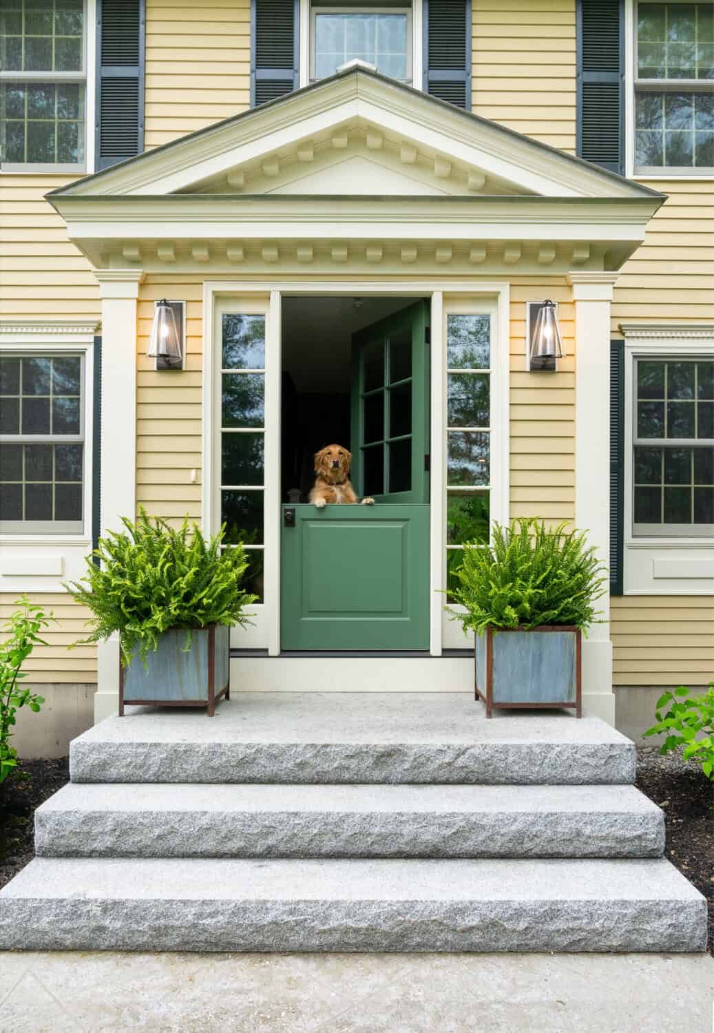 A dog standing at the door of a yellow house with black shutters, green front door, and two potted plants on the steps.