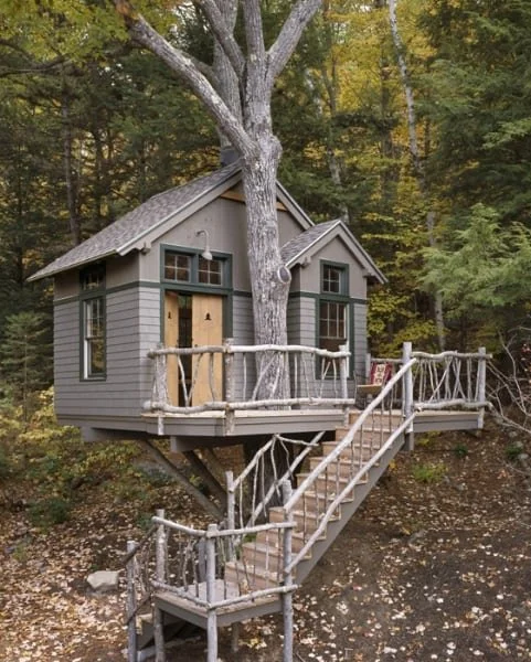 A treehouse built around a large tree with gray siding, a small porch, and a staircase leading up to it, set in a wooded area during fall.