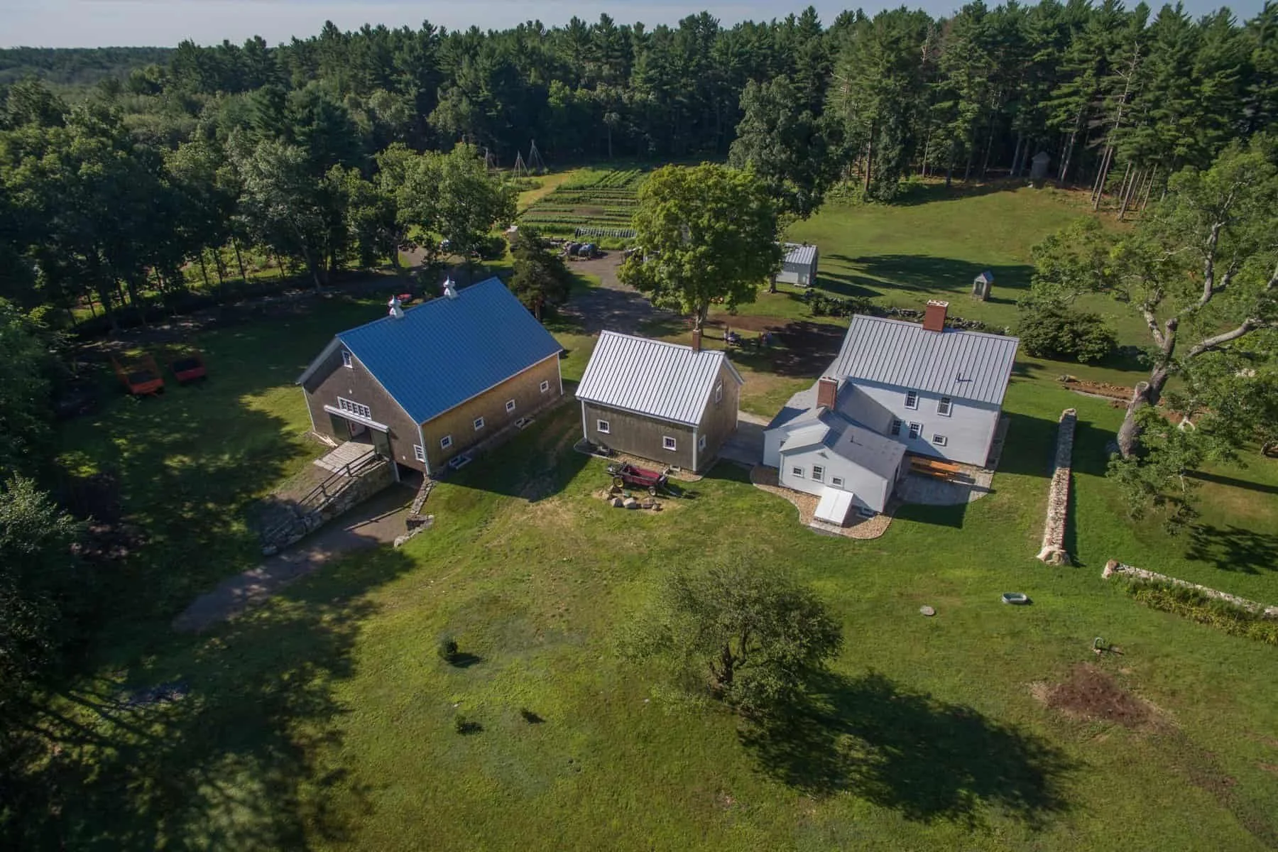 Aerial view of a farm with several buildings including barns and houses surrounded by green trees, fields, and a wooded area in the background.