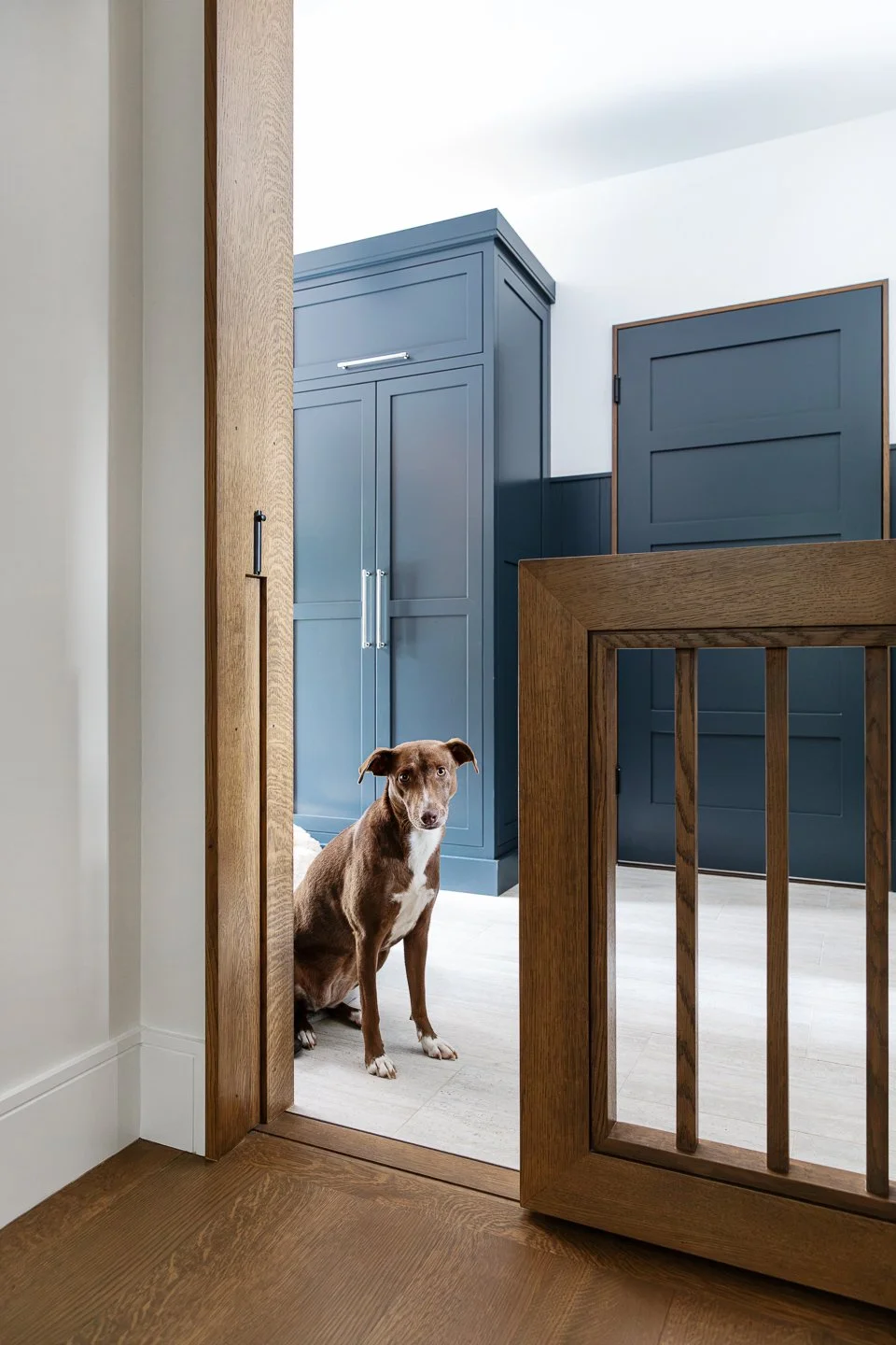Best general contractor, home builder, and home remodeler on the Northshore in Andover, Massachusetts (MA), developed this built in sliding dog gate.