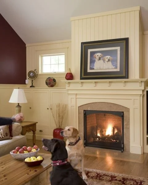 Living room with fireplace, framed dog picture, two dogs sitting on the floor, apple bowl on table, lamp, decorative vases, and a person’s hand visible.