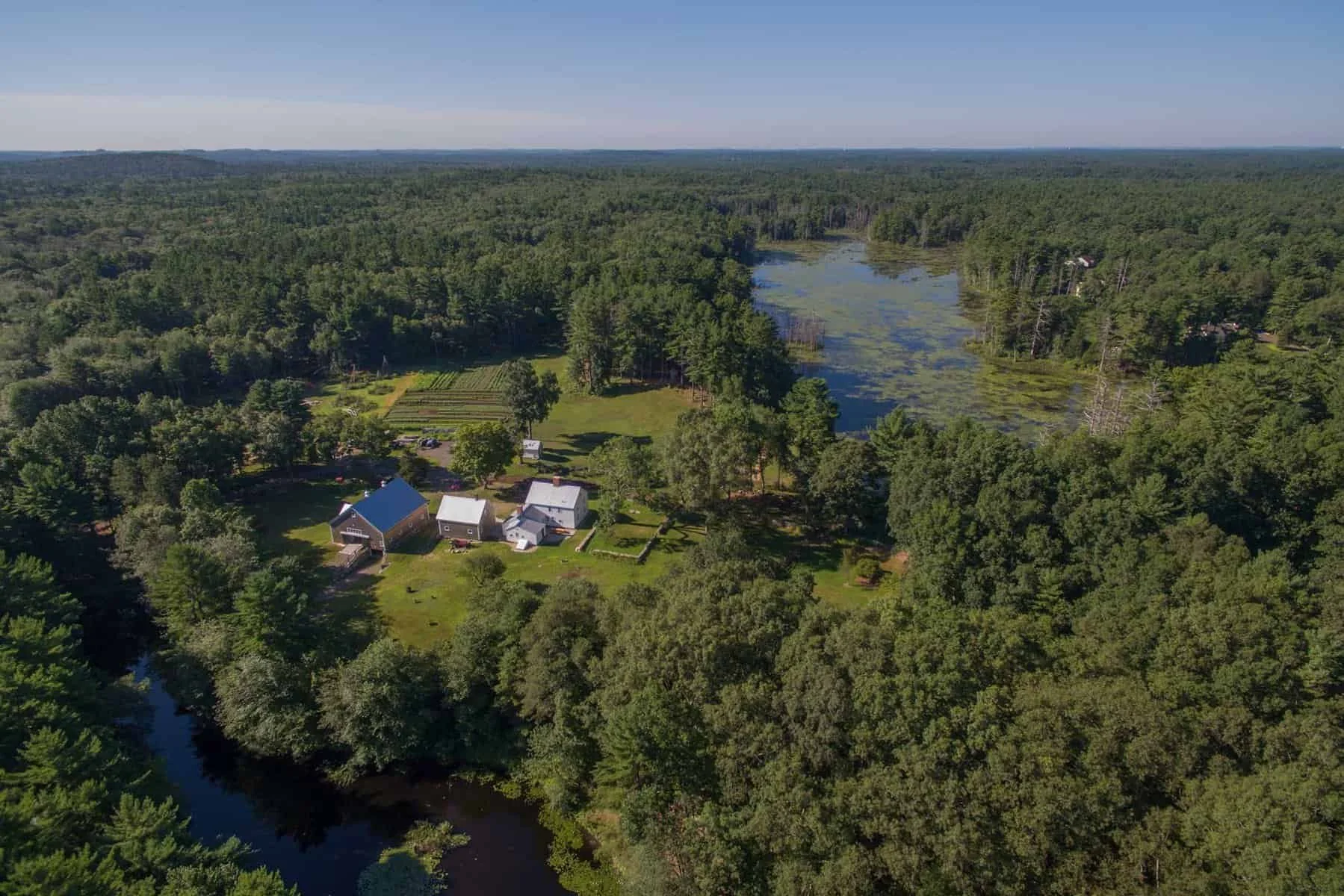 Aerial view of a rural landscape with a river running through a dense green forest, a small farm with buildings and cultivated fields near the river.