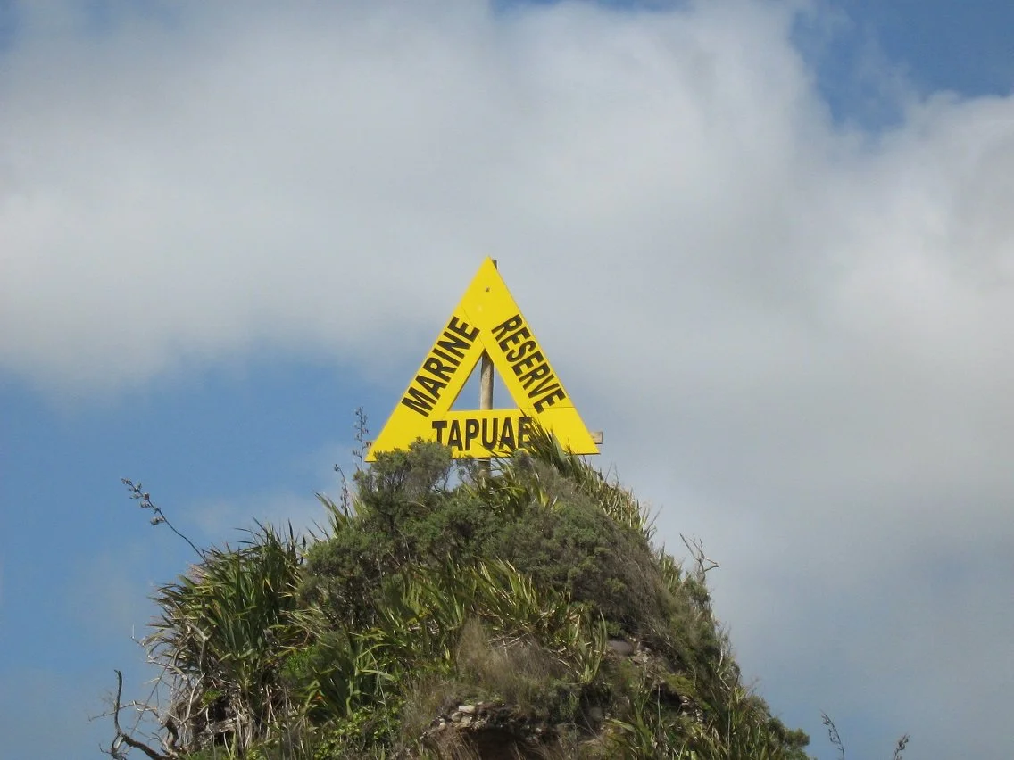 The Story of Ngā Motu Marine Reserve Society