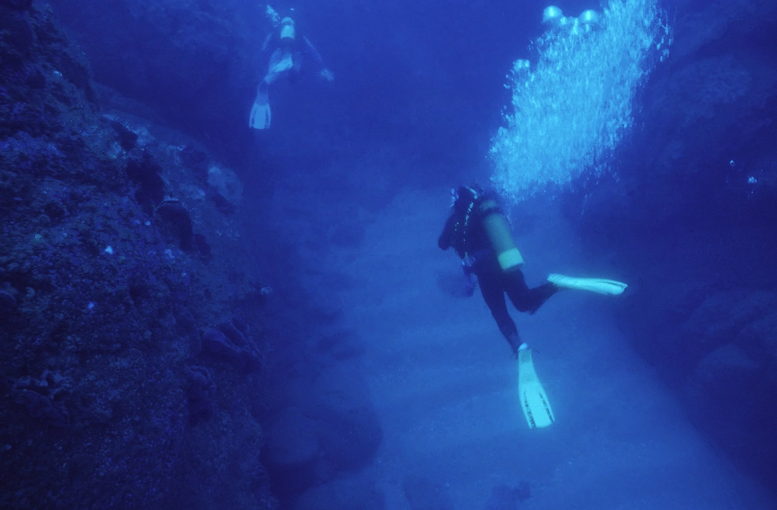 Divers, Hapuka Rock .jpg