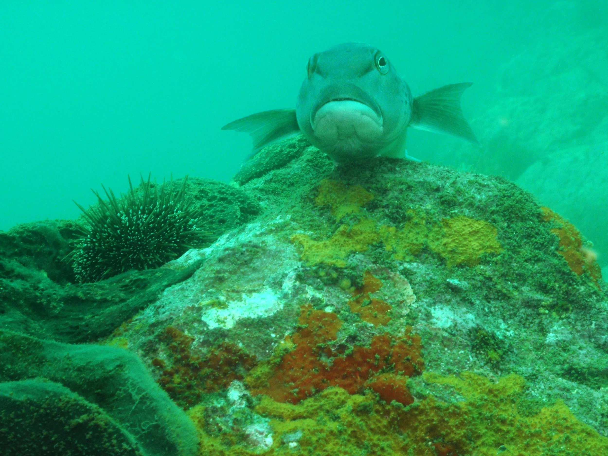 P2030147.jpg