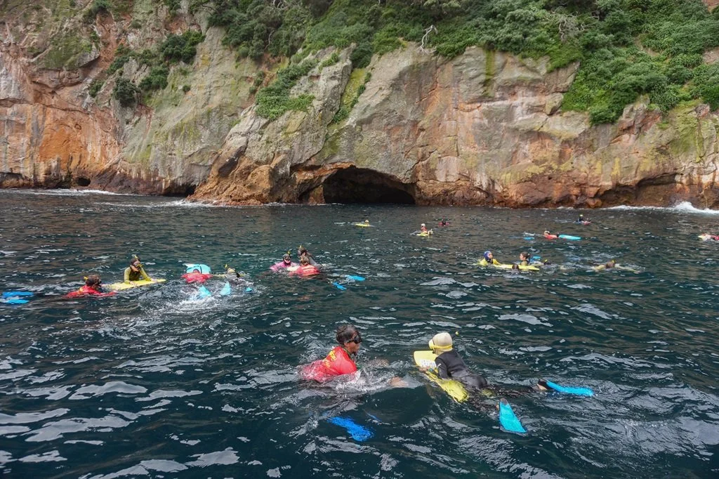 snorkelers surface.jpg