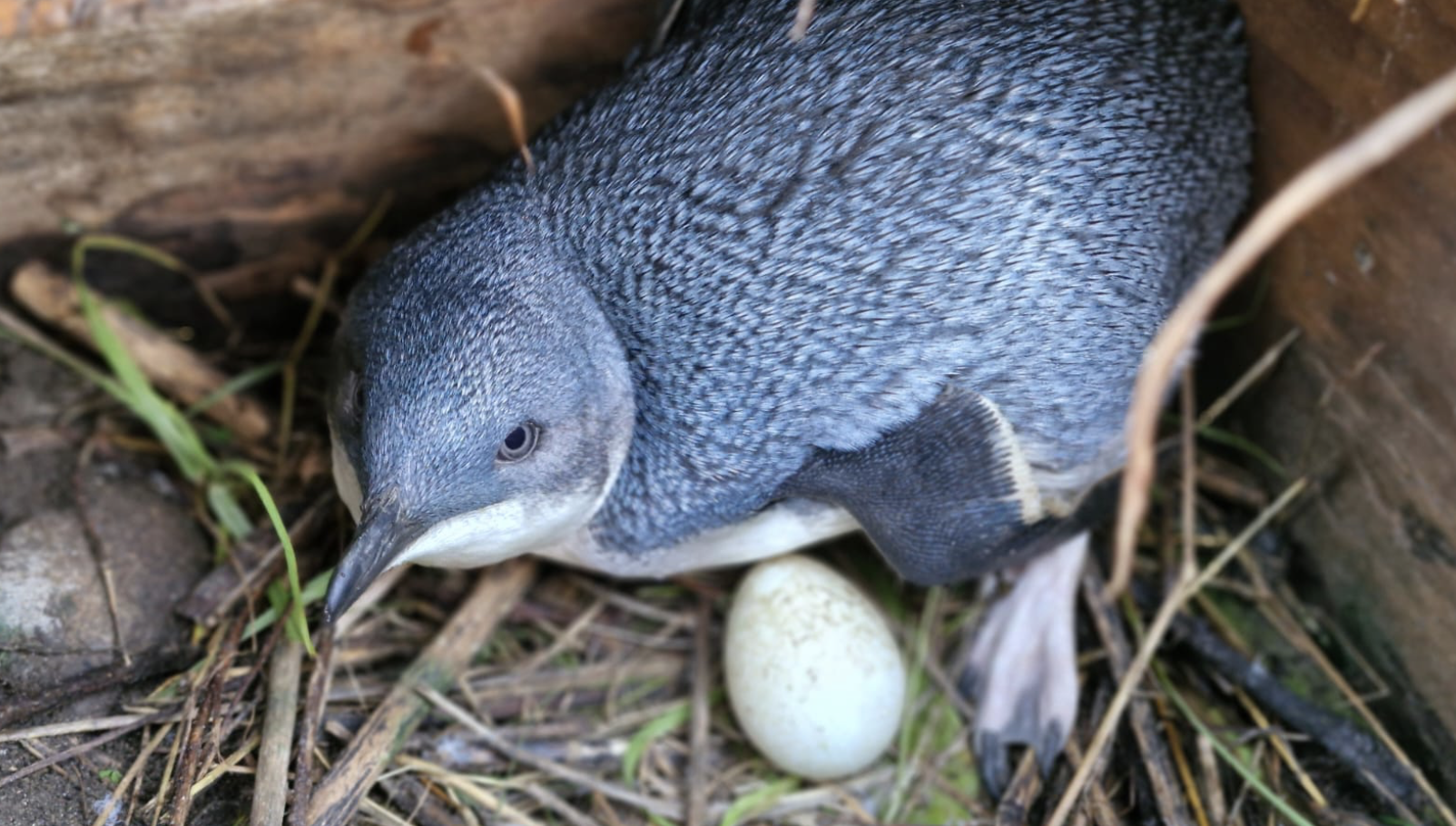 Screenshot 2025-11-30 at 7.18.35 PM.png