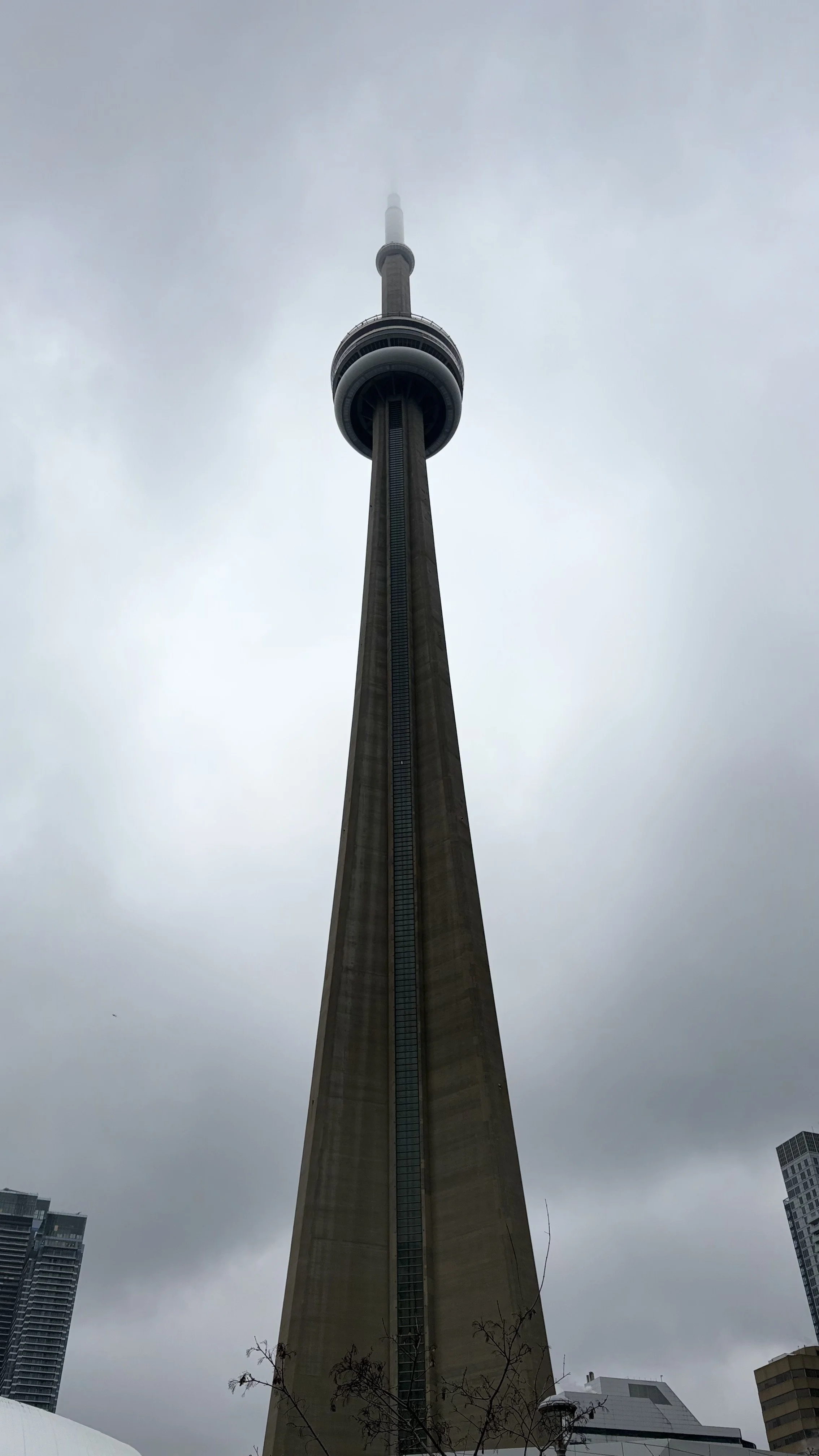 IMG_9737.jpg