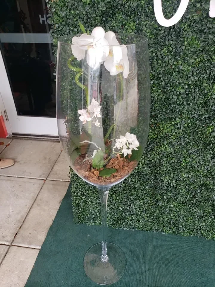 Summer 2019: Virgin Islands Party Edition  