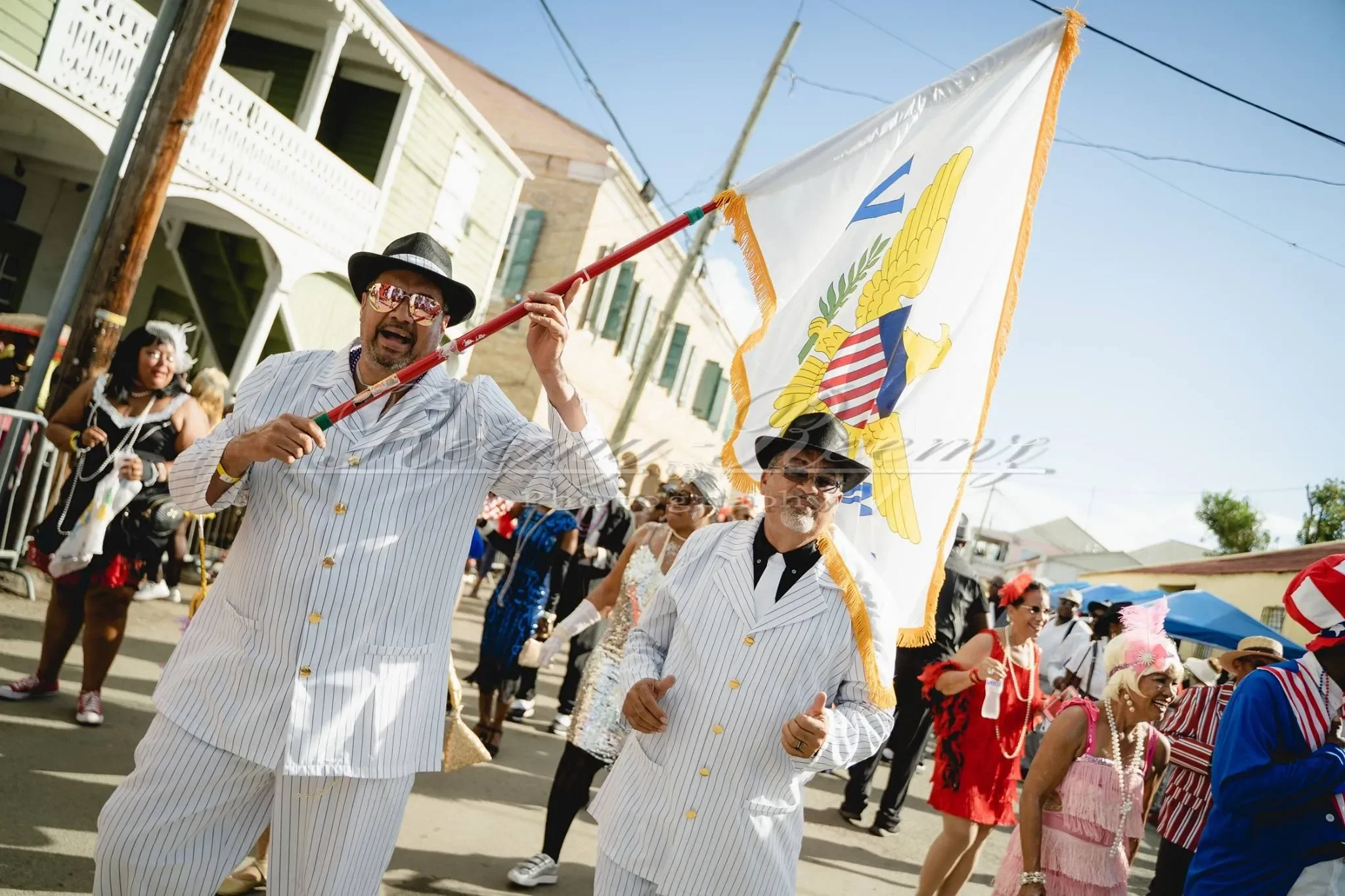 Moments in Virgin Islands History: Artists Who’ve Made History