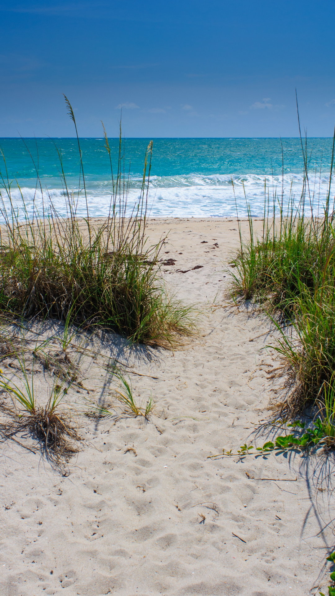 Contact | Schedule Your Care Today — The Kitchell Clinic