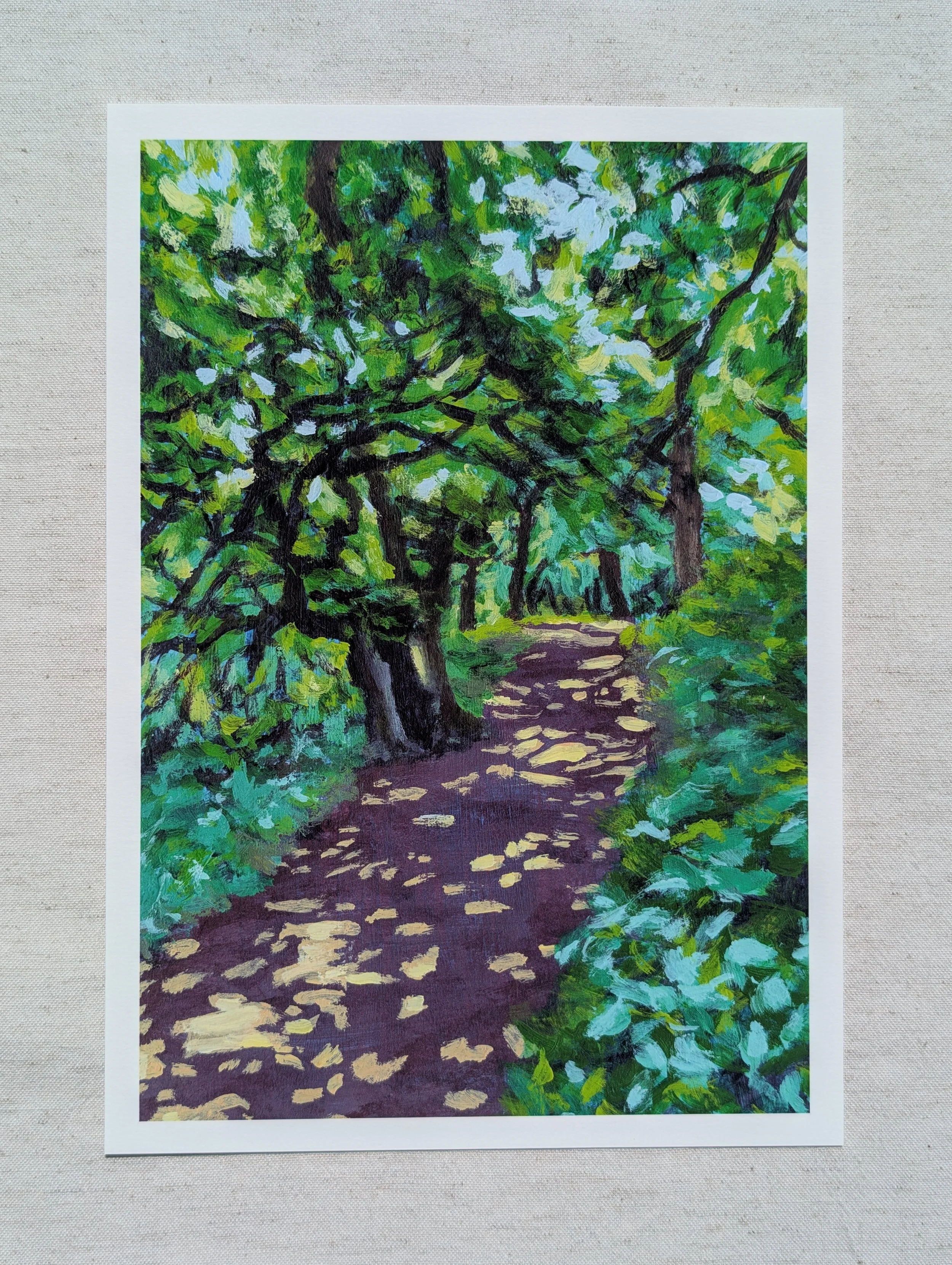 Salhouse Oak in Summer