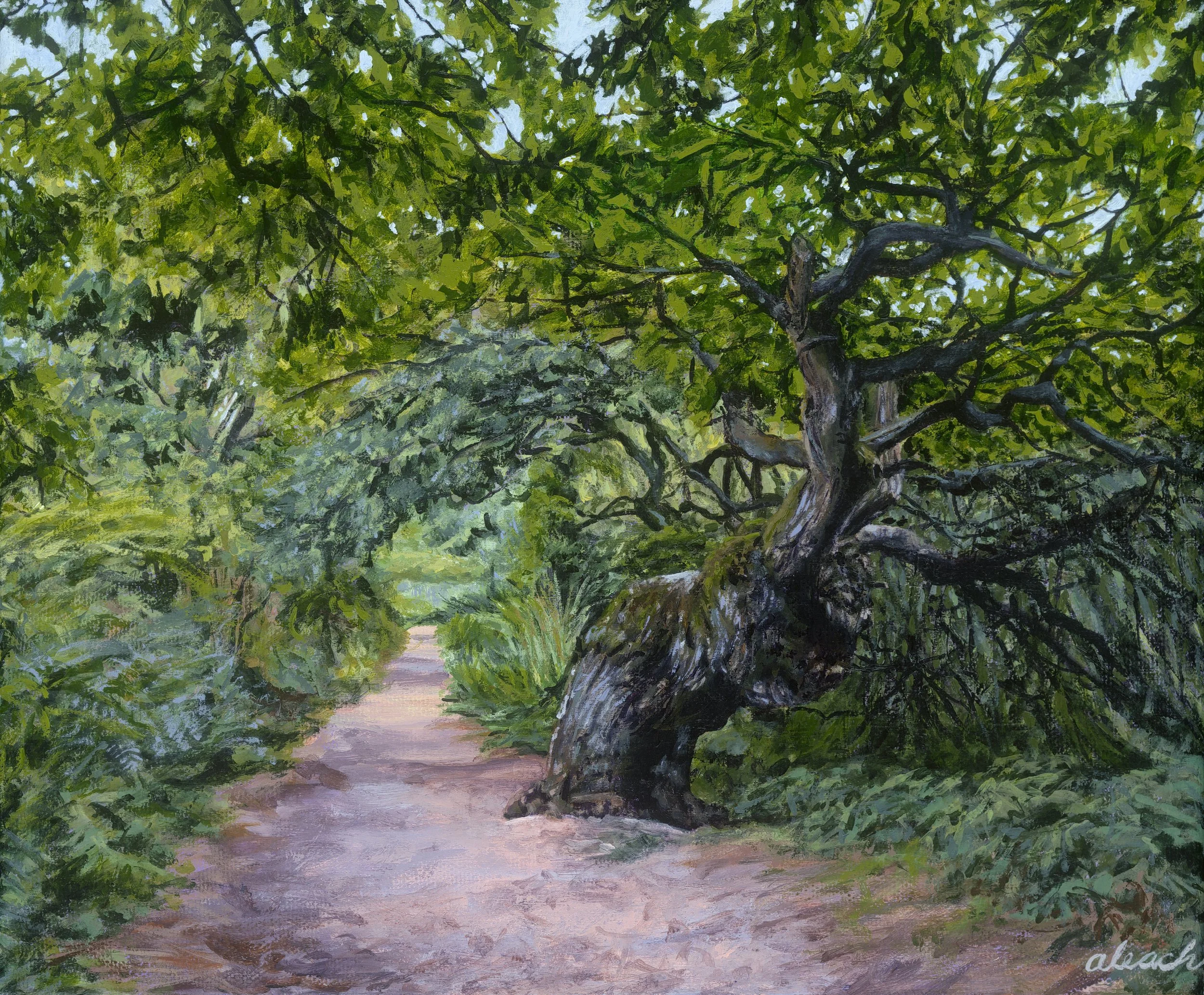 Old Tree RGB.jpg