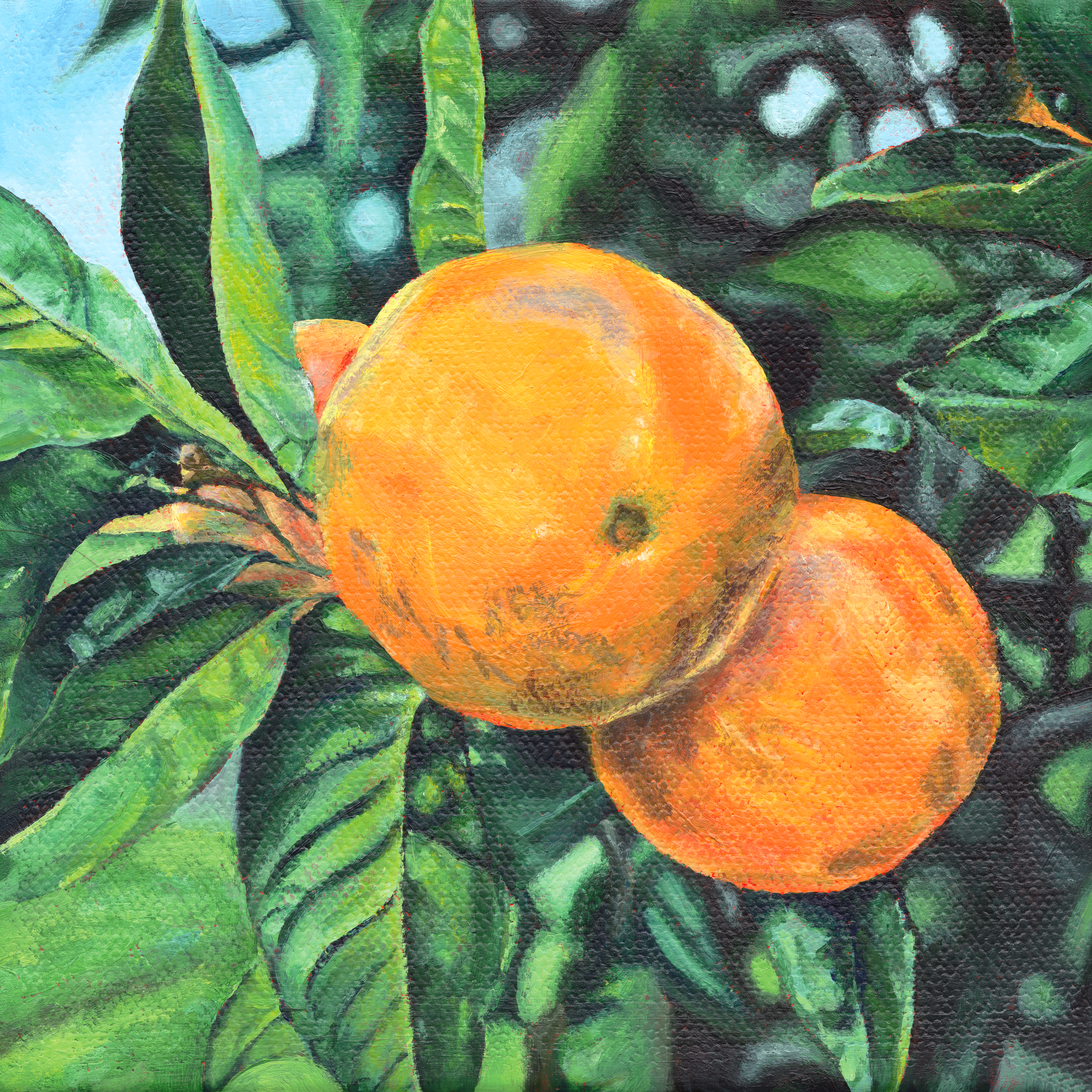 oranges alone.png