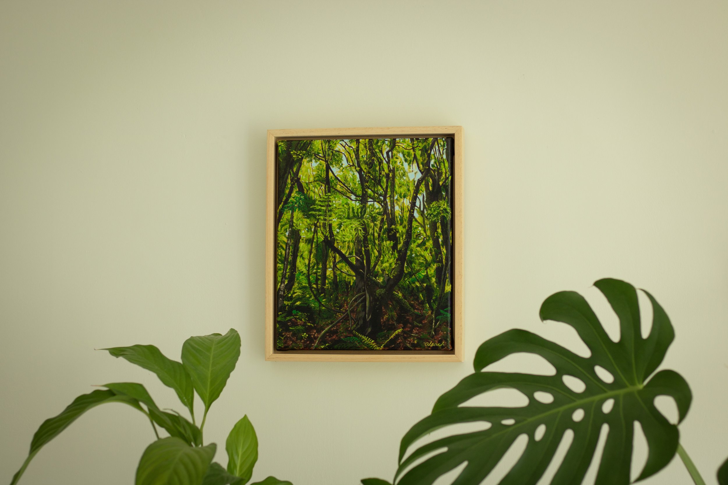 Amber Product Photo Edits-03.jpg