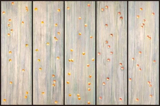 Multiple small peaches are scattered on a wooden surface with five black lines dividing it into six sections.