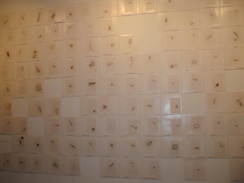 A wall display consisting of multiple white paper sheets, each featuring a small, detailed diagram or illustration of a different insect or small organism, arranged in a grid pattern.