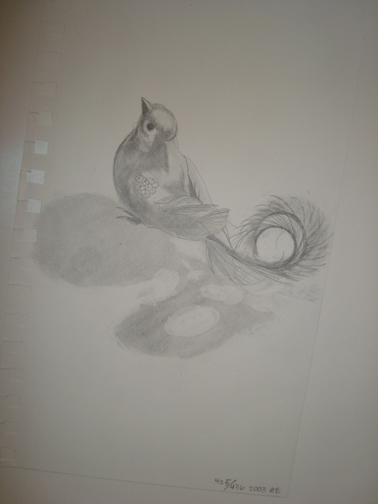 A pencil sketch of a bird with a flower design on its chest, sitting on a rock next to a pond with lily pads and a swirling water current.