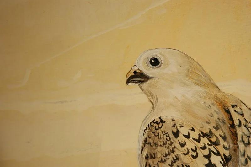 A painted depiction of a bird of prey, possibly a hawk or falcon, with detailed feathers and large eye, set against a beige background.