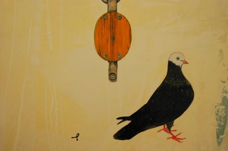 Pigeon with a distinctive white face and black body standing next to a wooden wall fixture on a beige wall.