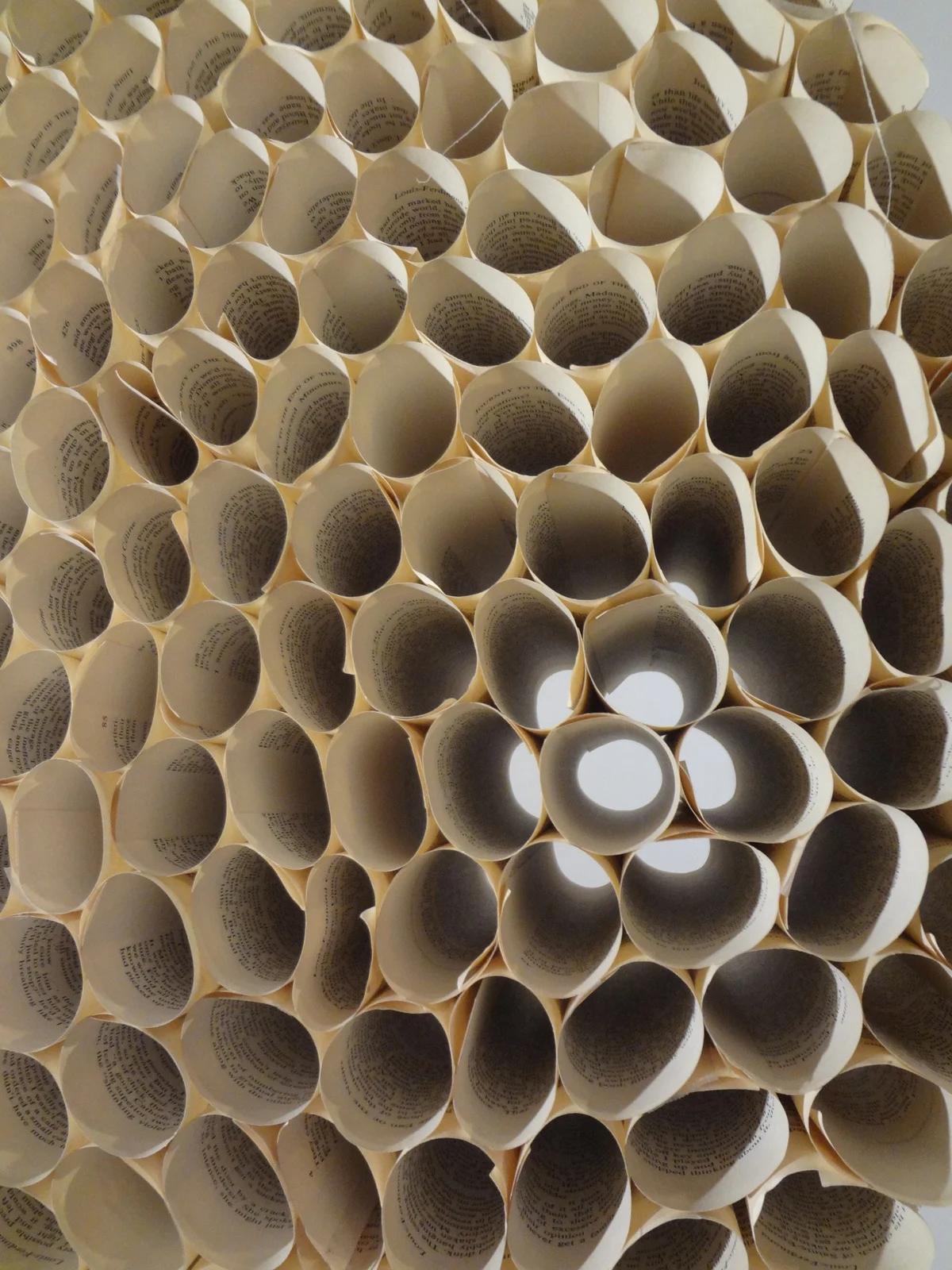 A close-up of numerous rolled-up pages arranged closely together with light shining through some of the openings.