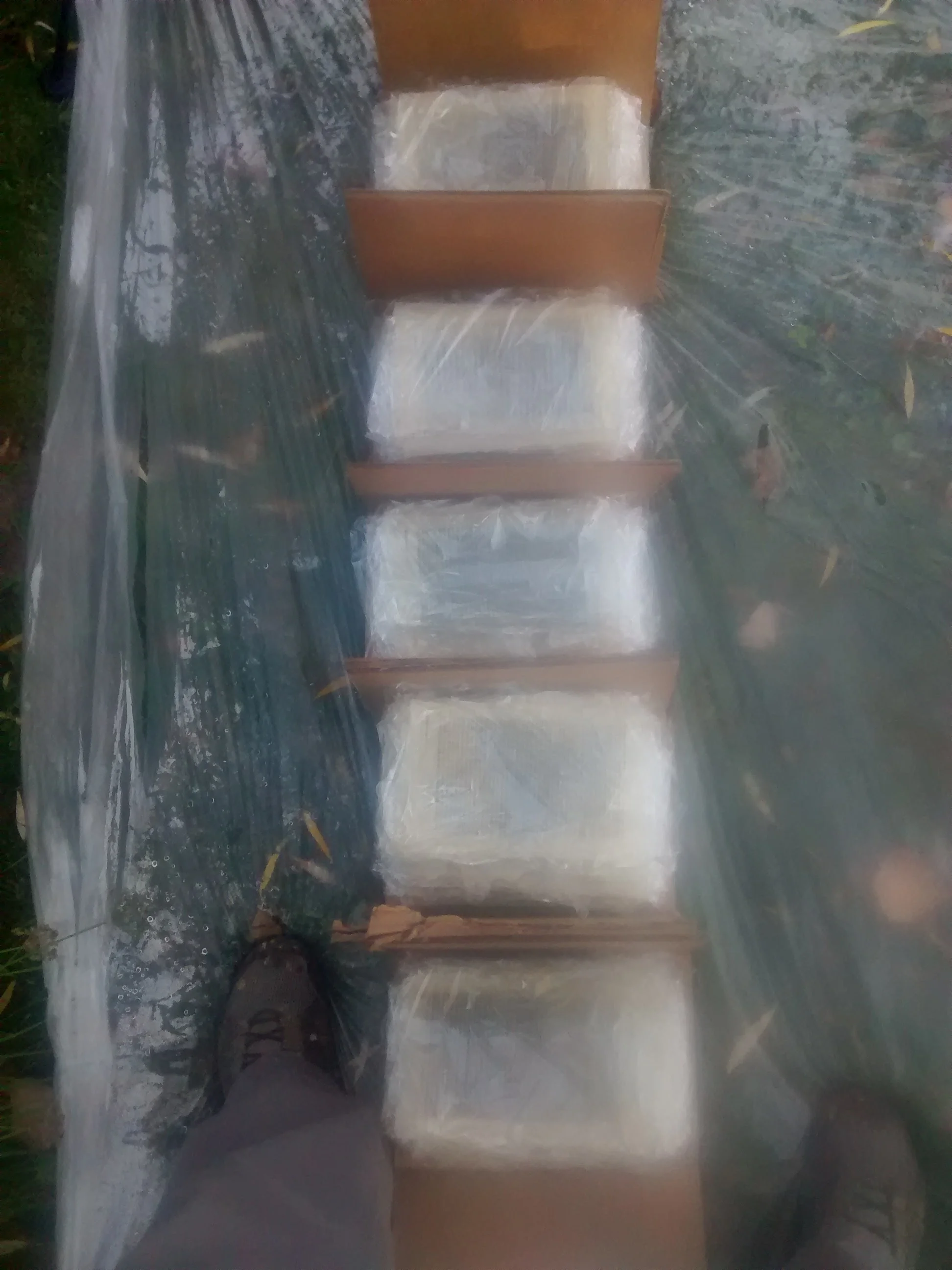 A person standing on a plastic-covered surface, looking down at a wooden ladder with five steps, outside on grass and leaves.