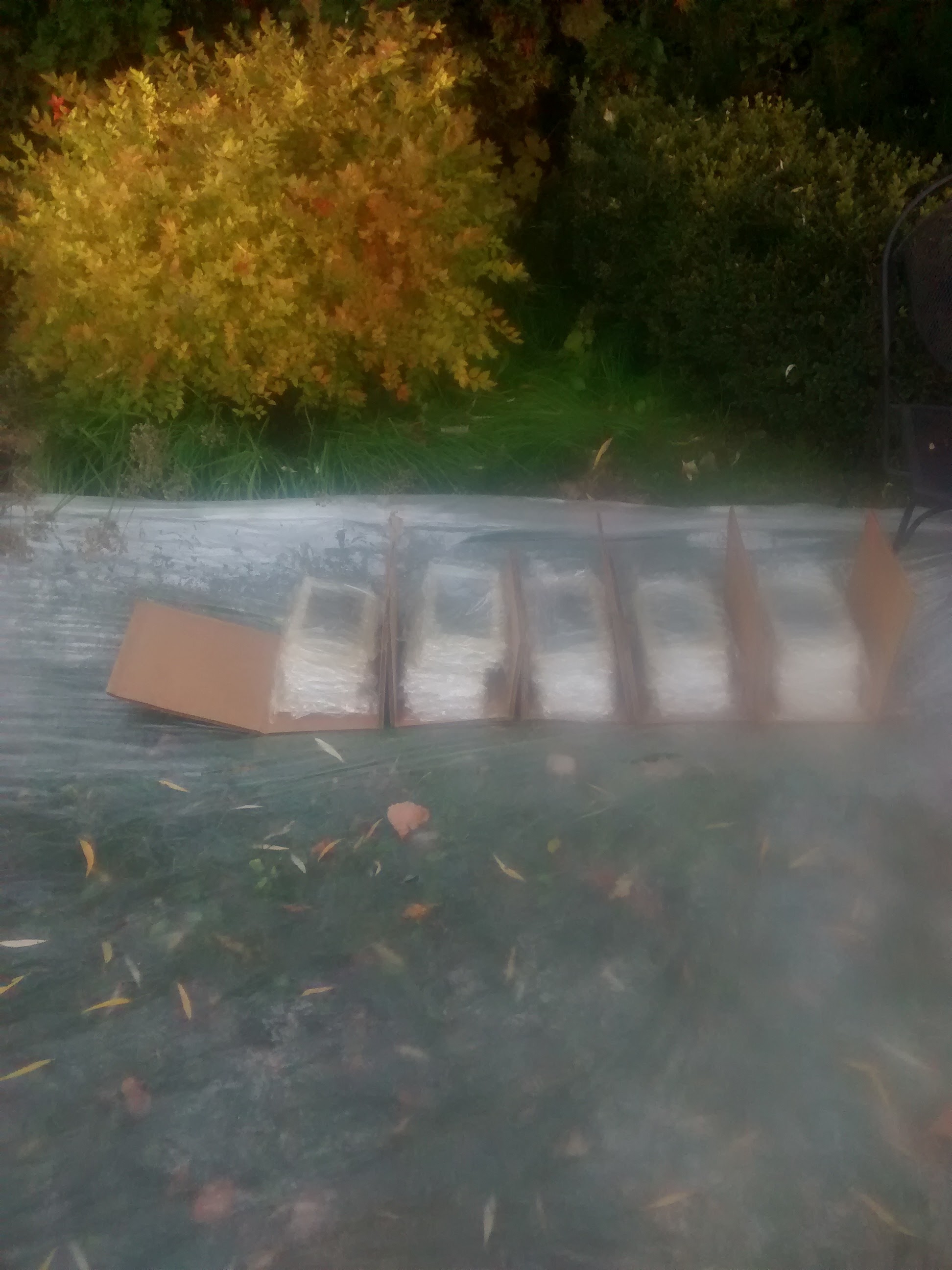 A cardboard box containing packets of ice on a plastic surface outdoors with autumn-colored bushes and a chair in the background.