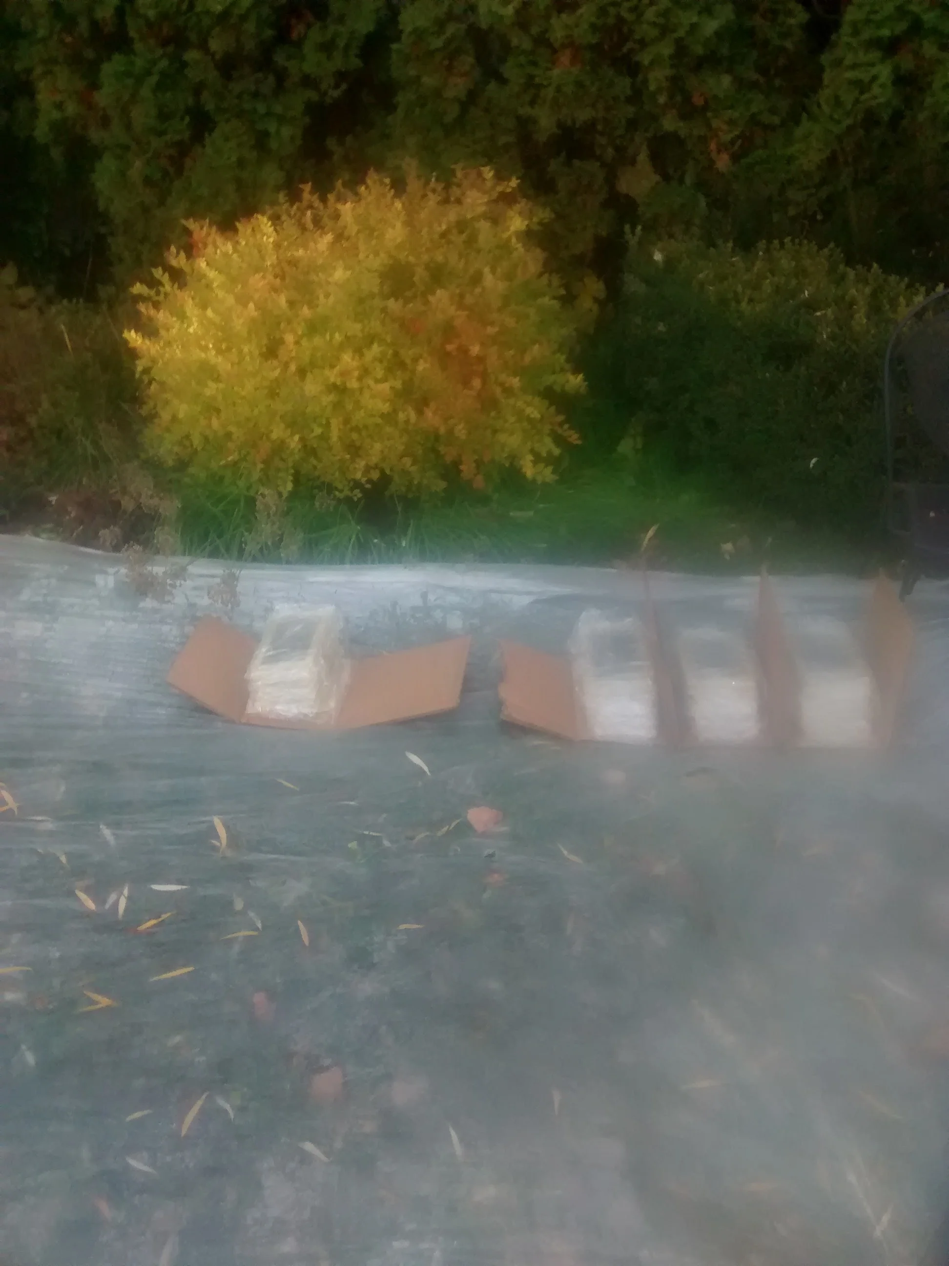 View from a high point looking down at trees with colorful autumn leaves; the edge of a roof or platform with some bricks or blocks near the bottom of the image.