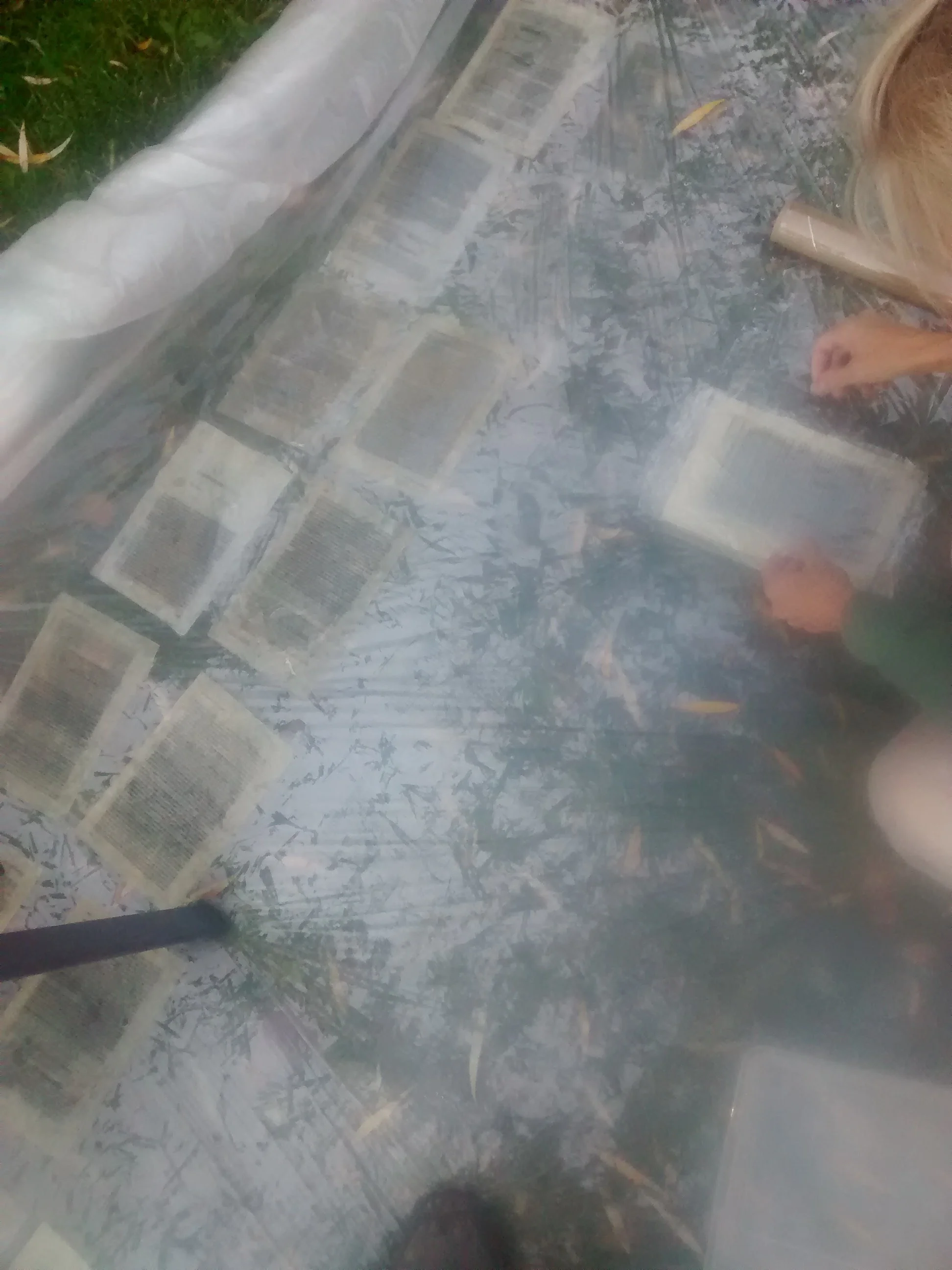 People looking at sheets of paper on a glass table, reflected outside trees and sky