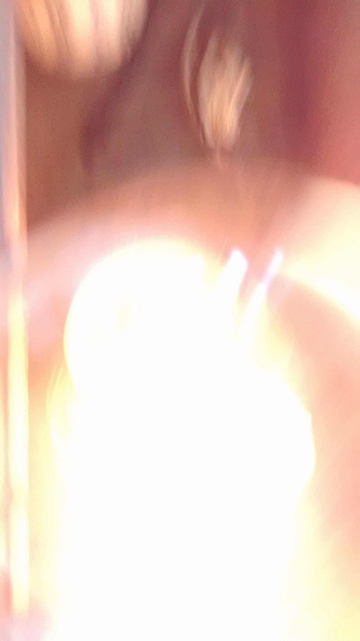 An overexposed, blurry photo of a person or object with bright light in the foreground and indistinct features.