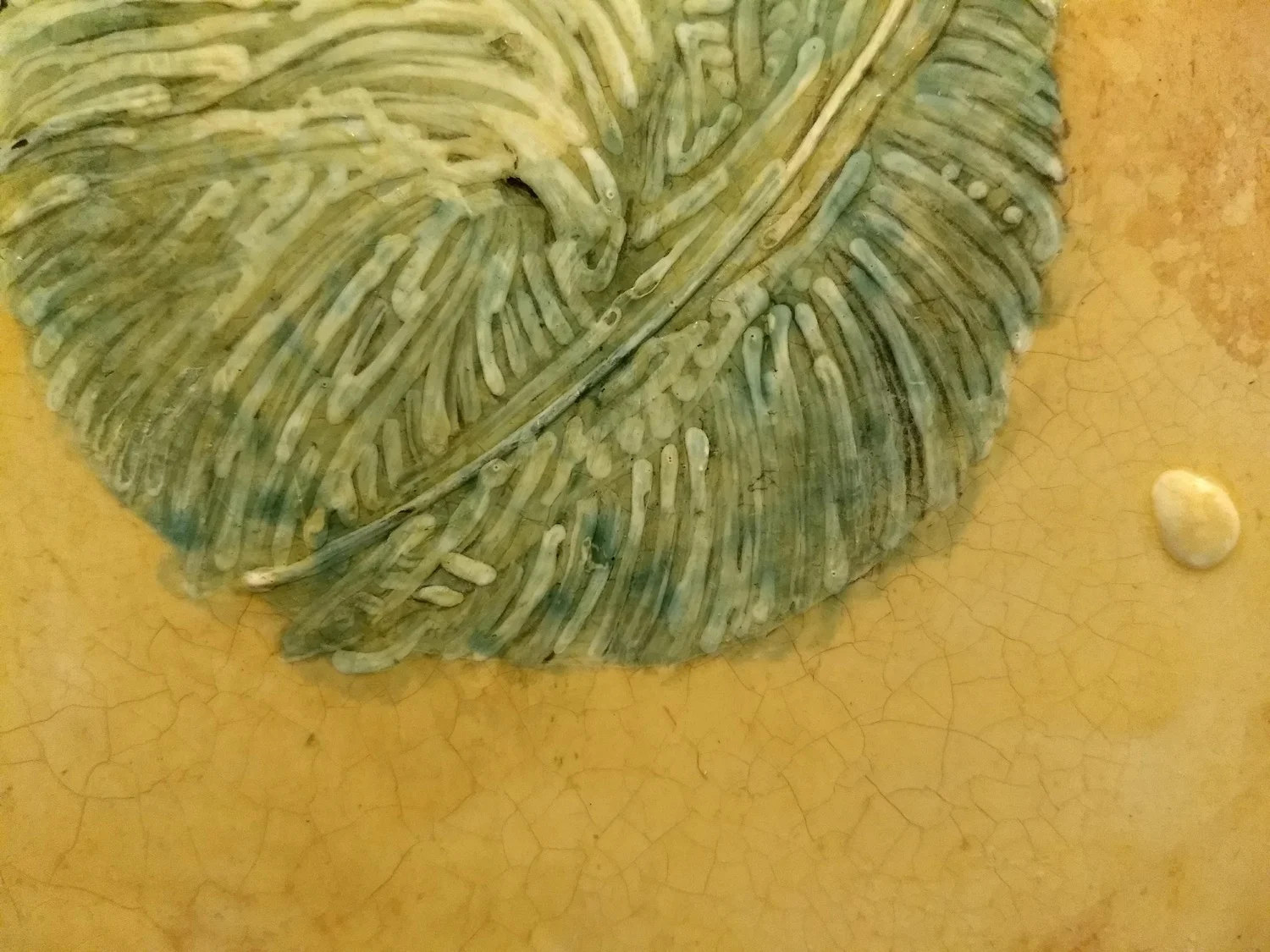 Close-up of a large, textured green and gray leaf with a prominent central vein, and a small, rounded white object on a cracked yellow surface nearby.