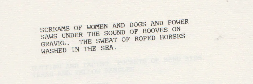 Close-up of a typed poem about women, dogs, power, horses, and the sea.