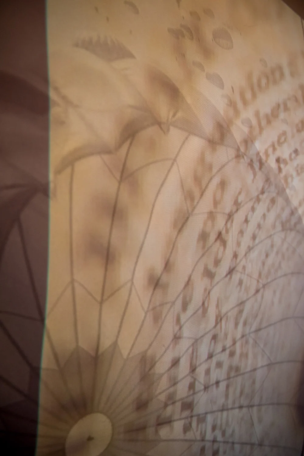 Close-up of a traditional paper parasol with bamboo spokes and a decorative pattern.