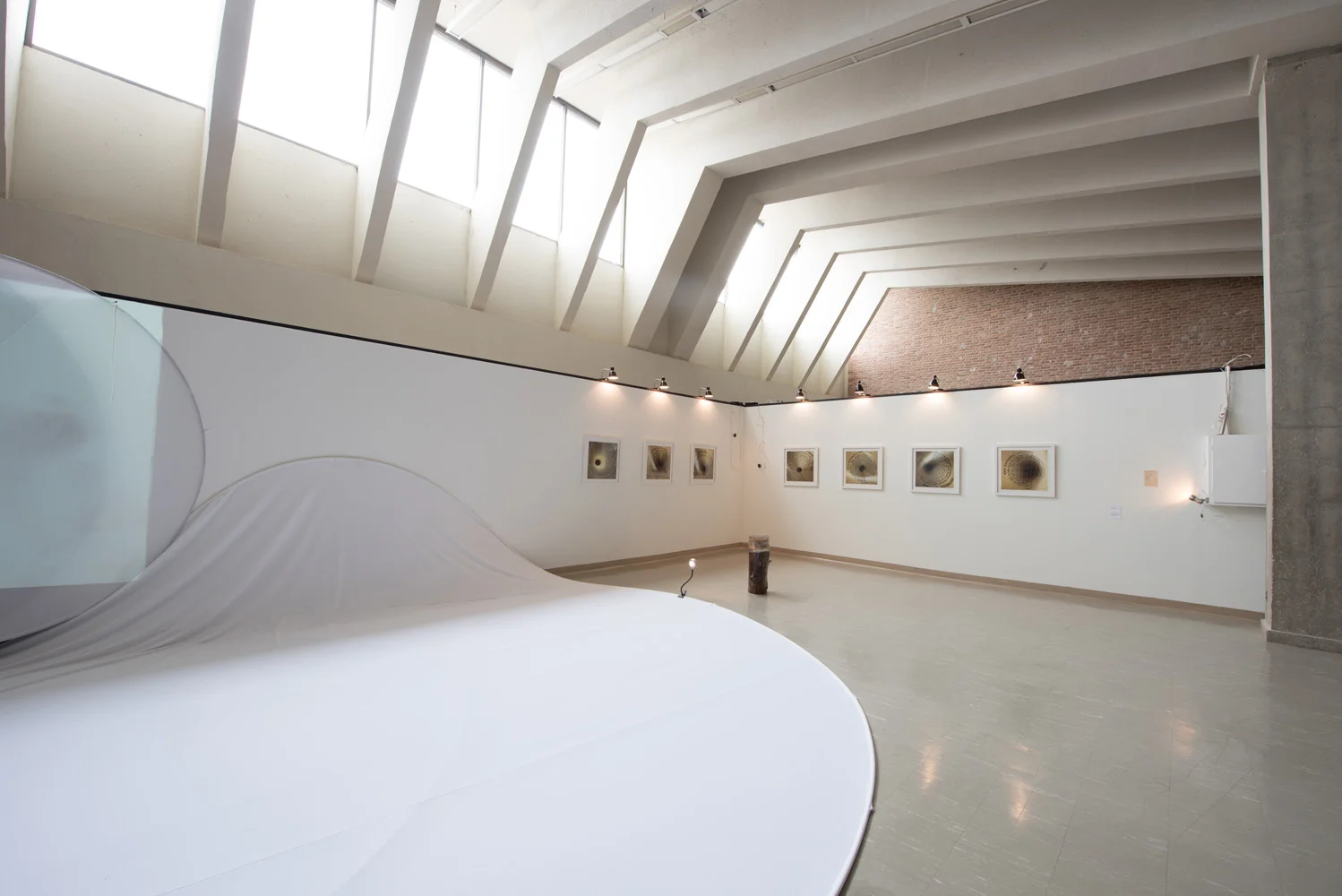 An art gallery with a curved white sculpture in the foreground and framed photographs on a white wall in the background. The gallery has a high ceiling with large skylights and spotlights illuminating the exhibits.