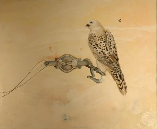 A bird perched on a metal pipe illuminating a wall with a yellowish hue.