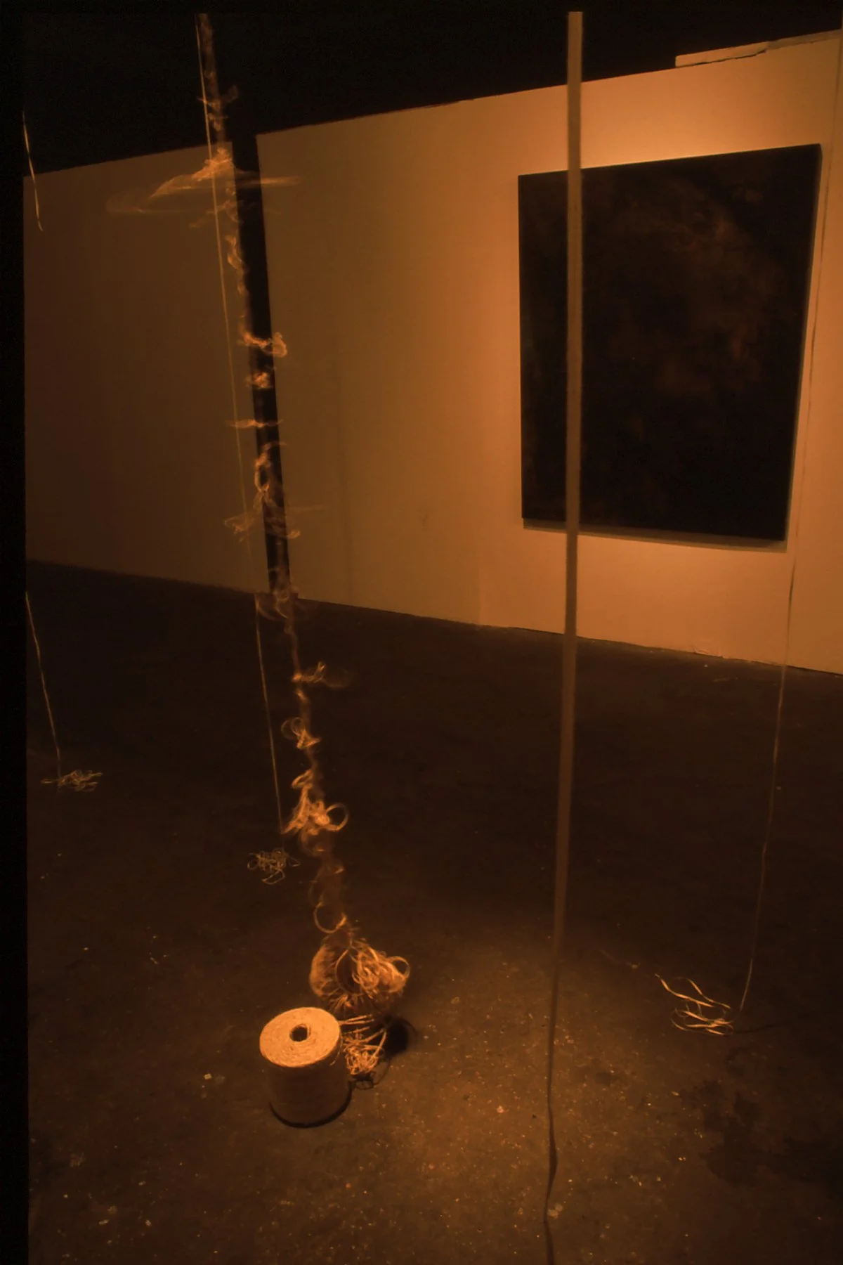An art installation in a dimly lit gallery featuring hanging strings or wires, a wooden spool, and a dark framed artwork on the wall.