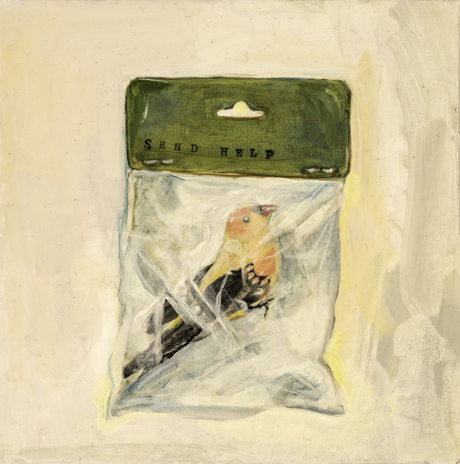 A painted illustration of a small, colorful bird inside a plastic bag with the words 'SEND HELP' printed on the green part of the bag.