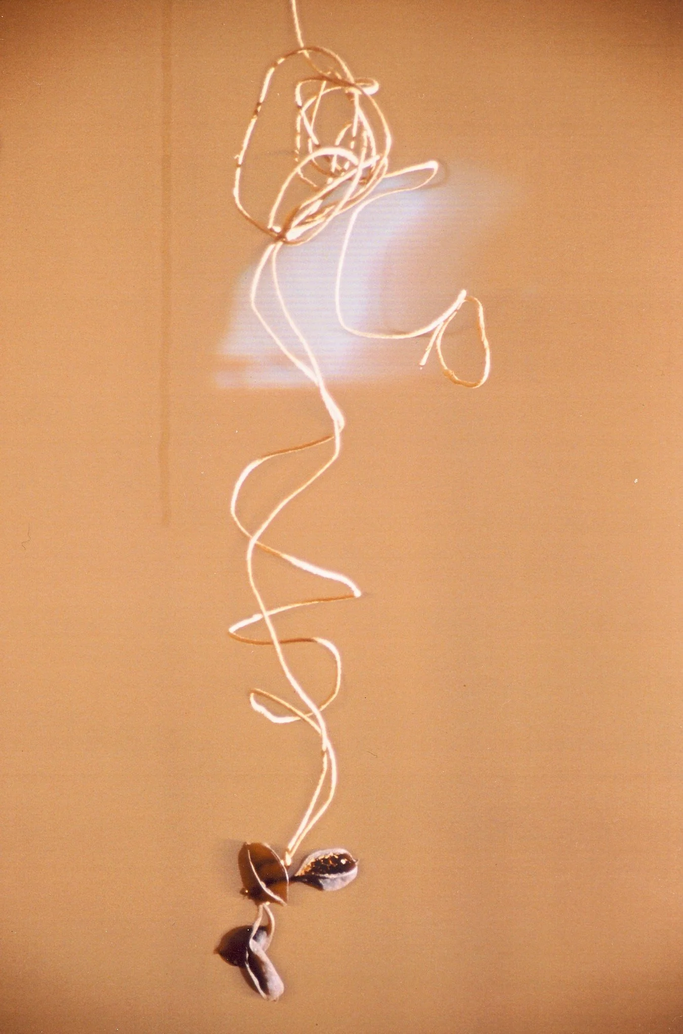 Close-up of a string or wire twisted into a spiral, with three dark beans attached at the bottom, hanging against a beige background.