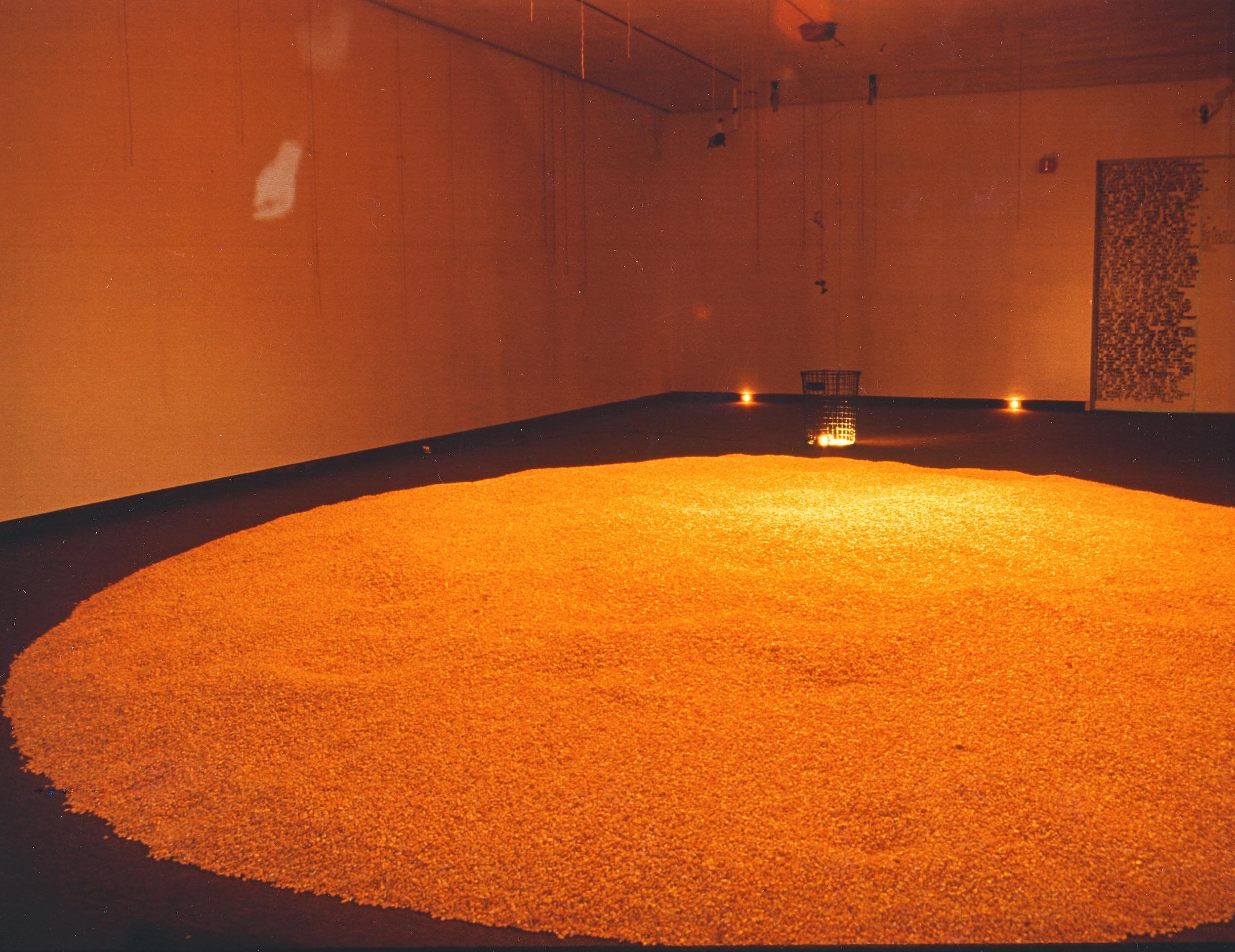 Photo of a circular area filled with yellowish-orange grains, possibly rice, inside a room with beige walls and hanging lights.