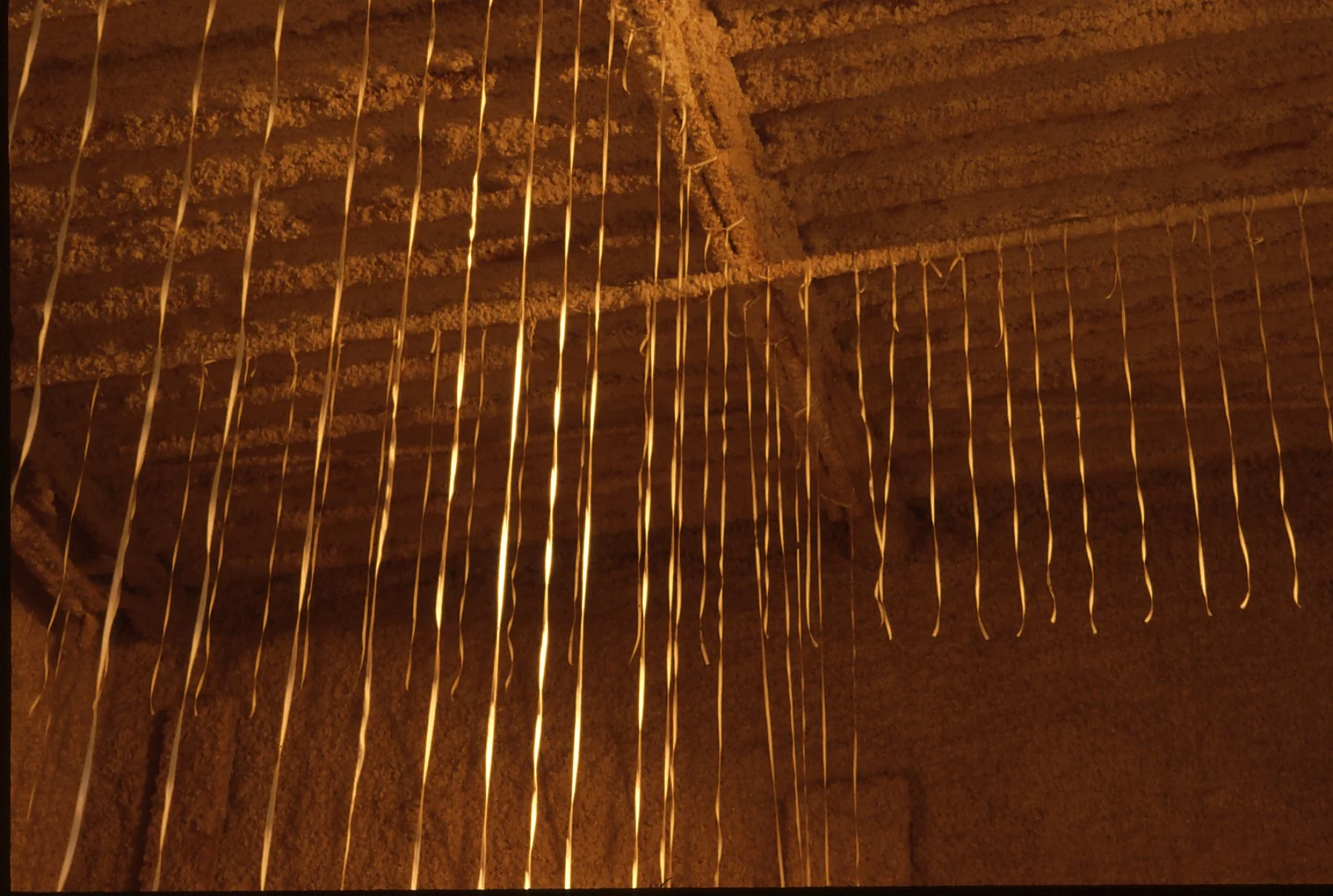 Close-up of numerous long, thin, light-colored pins or stakes hanging vertically from a textured, brown ceiling or surface.