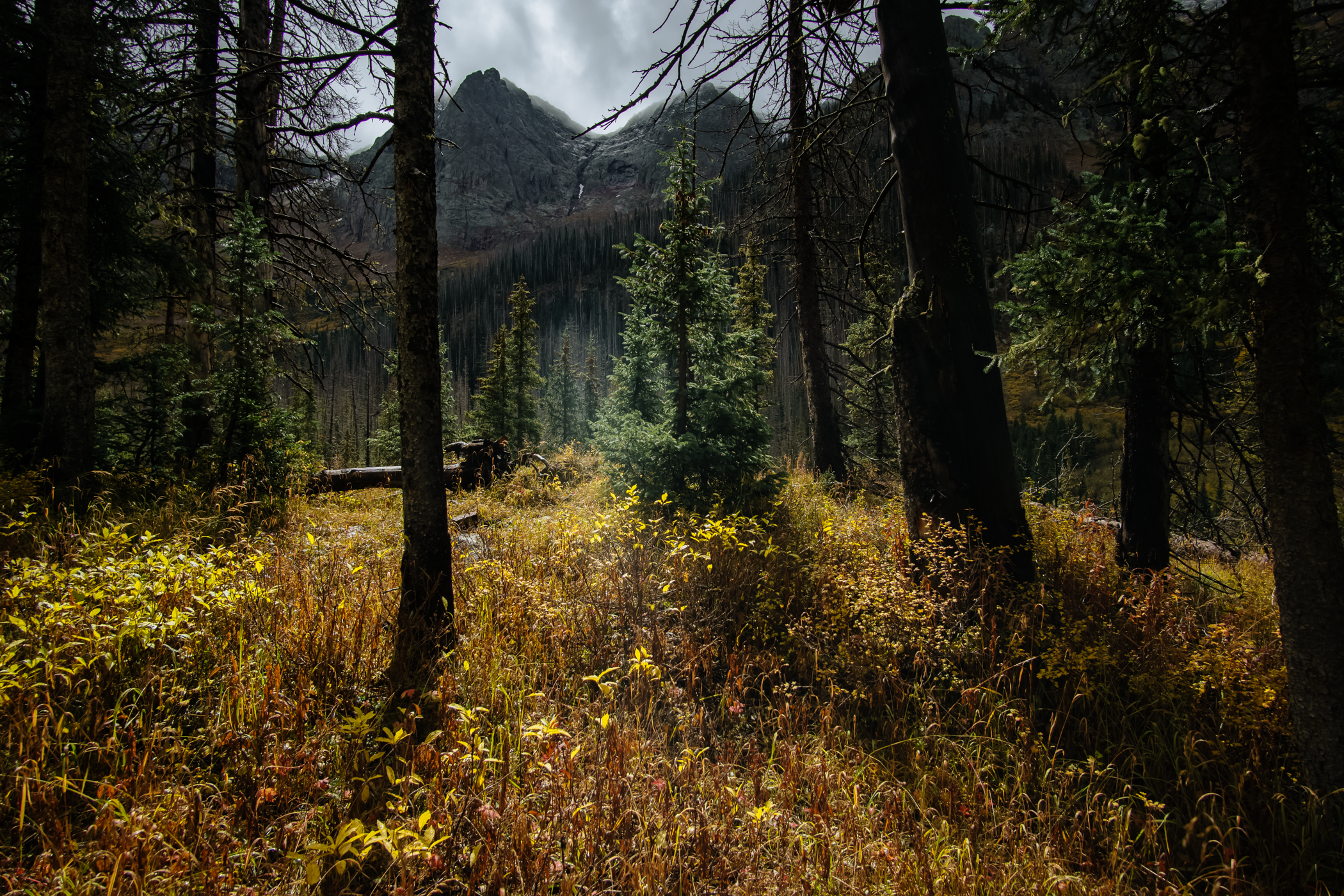 New Patients Welcome!